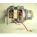Motopompa lavastoviglie Rex TT9E cod 20673081.0